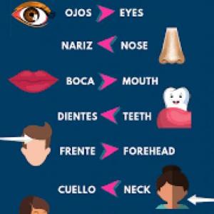 Parts of the body