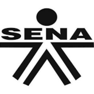 Retroalimentación Saro