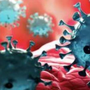 Memoria virus