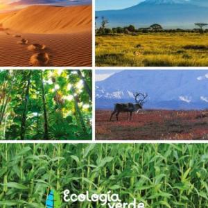 Ecosistemas y Regiones. taller1