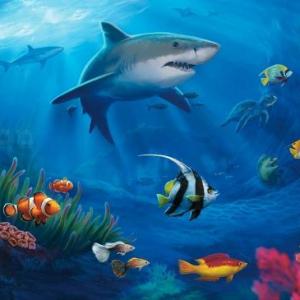 Animales Marinos