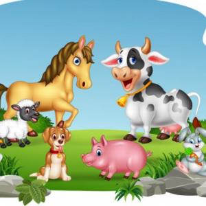 Los Animales Domésticos Y Sus Funciones