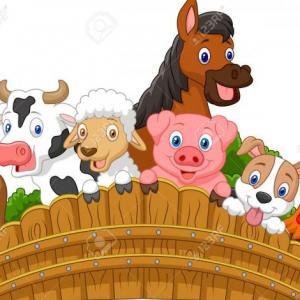 Los Animales Domésticos 