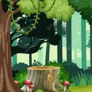 Imagen de portada del videojuego educativo: Mi viaje al bosque, de la temática Medio ambiente