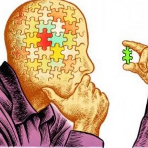 INTELIGENCIA EMOCIONAL EN LAS ORGANIZACIONES