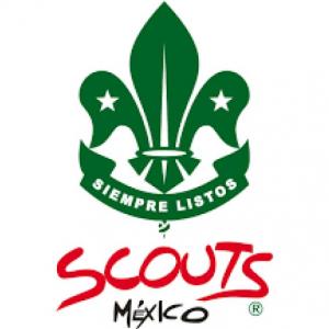LEY SCOUT