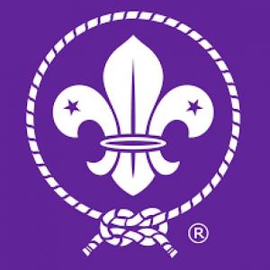 LEY SCOUT 10 ARTICULOS Y MAS