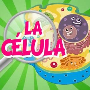 CÉLULAS Y ORGANELAS