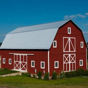 Farm Animals