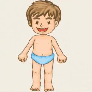 Body Parts
