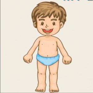 Body Parts