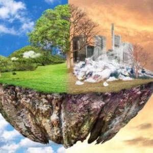 Imagen de portada del videojuego educativo: MEDIO AMBIENTE, de la temática Medio ambiente