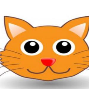 Animals English (Basic)