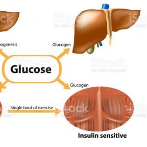 Imagen de portada del videojuego educativo: Sintesis de Glucógeno., de la temática Química