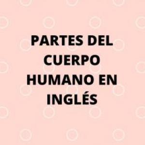 PARTES DEL CUERPO HUMANO