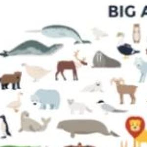 los animales