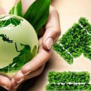 Derecho Ambiental en México.