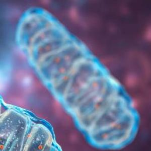 Portada del juego cetogenesis – Química