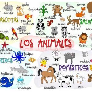 ¿ADIVINA EL ANIMAL?