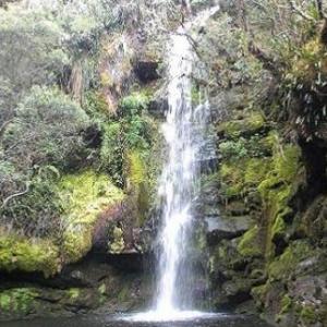 Río Bogotá 