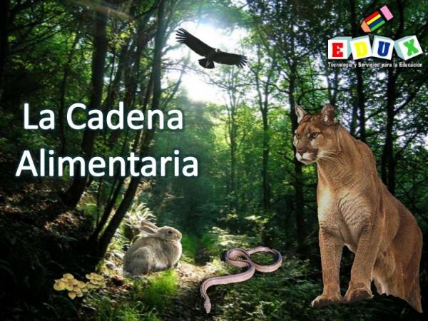 Cadena Trófica - Ciencias - Natalia Arevalo - 6°B-parte 2
