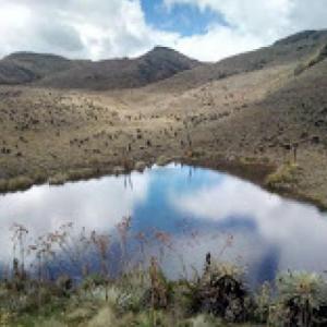Bogota's River Game