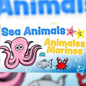 Portada del juego SEA ANIMALS – Idiomas