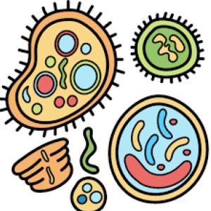 REPASO_BIOLOGÍA