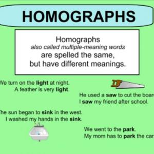 Homograph