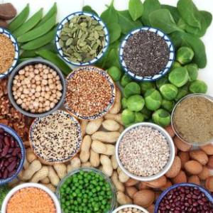 El juego de las proteínas