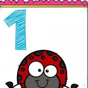 numeros 