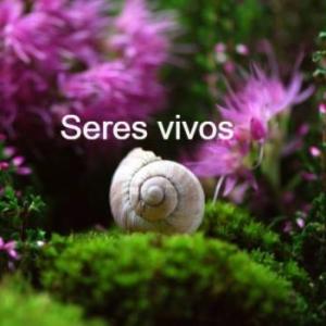 Actividad de los seres vivos