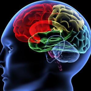 Imagen de portada del videojuego educativo: Le Cerveau Artificiel, de la temática Lengua