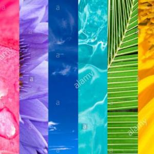 Discriminación-colores