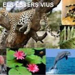 Els éssers vius