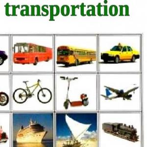 MEANS OF TRANSPORTATION