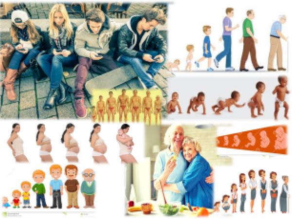 Trivia: Desarrollo en Humanos