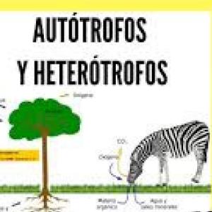 Autótrofos y Heterótrofos