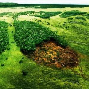 MEDIO AMBIENTE
