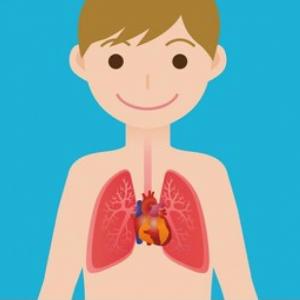 Sistema respiratorio