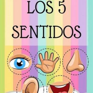 Los sentidos.