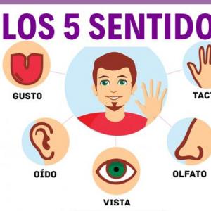 SentidosConectados