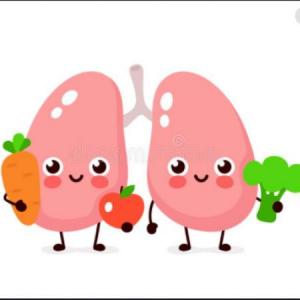 ¡Cuánto sabes de tu sistema respiratorio!