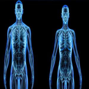 Partes y sistemas del cuerpo humano