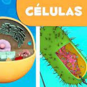 Mundo de Ciencias Naturales 