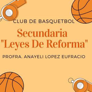 El mundo del basquetbol
