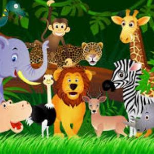 WILD ANIMALS