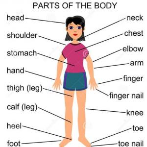 Parts of the body