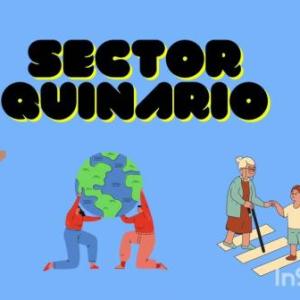 sector quinario