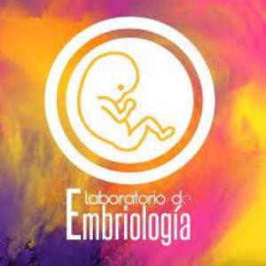 EXAMEN LAB EMBRIO